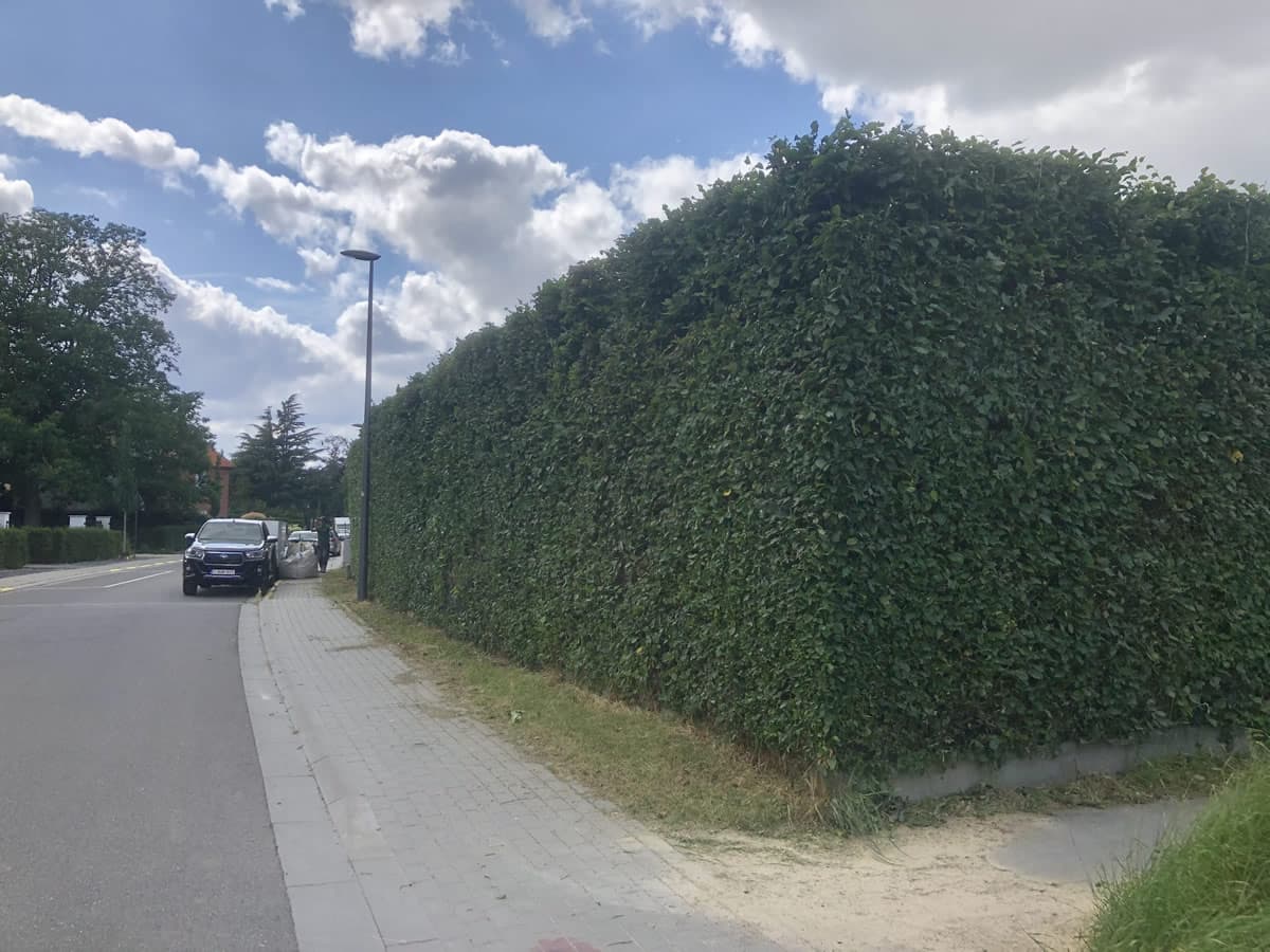 Réalisation entretien de jardin