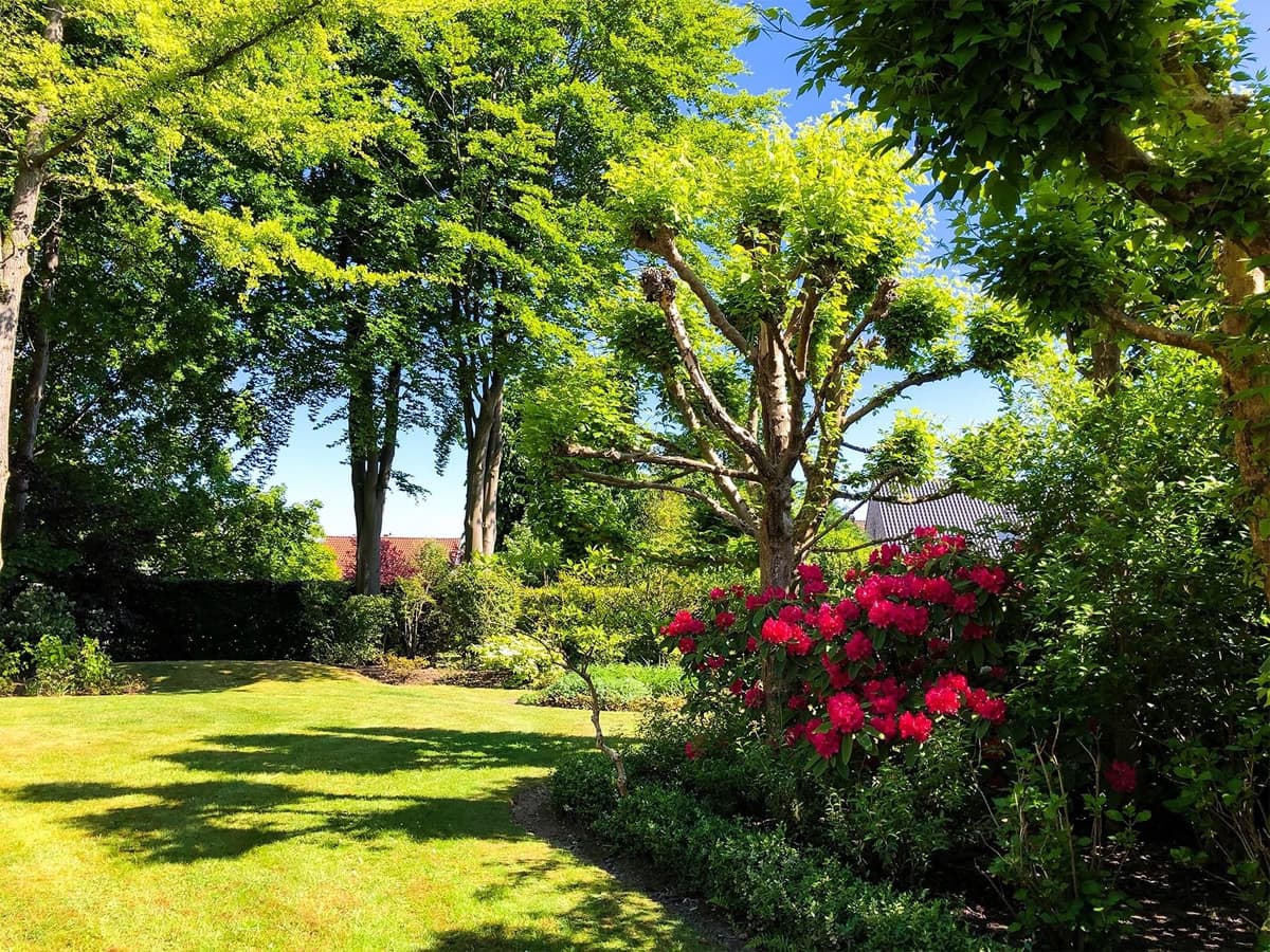 Réalisation entretien de jardin