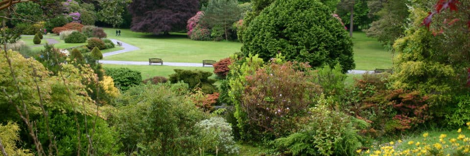 Spécialistes en création de jardins